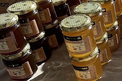 Agrandir l'image, fenêtre modale