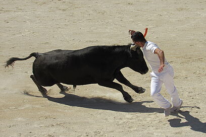 Agrandir l'image, fenêtre modale