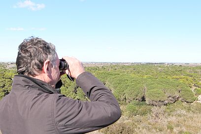 Agrandir l'image, fenêtre modale